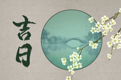 今日九星怎么读